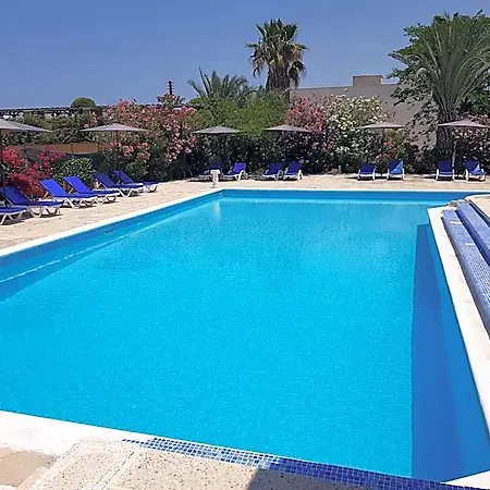 Paradise 3*